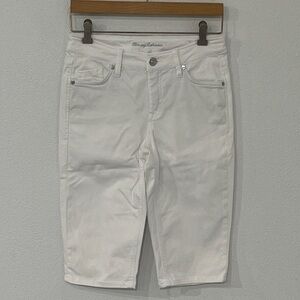 Tommy Bahama Boracay Beach High Rise Boardwalk Shorts 4 x15”